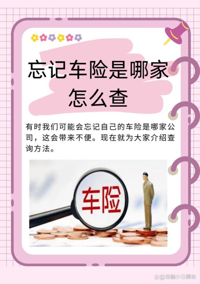 忘记车险是哪家怎么查