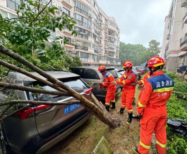 台风暴雨天气车辆受损，可以理赔吗？上海市消保委详解