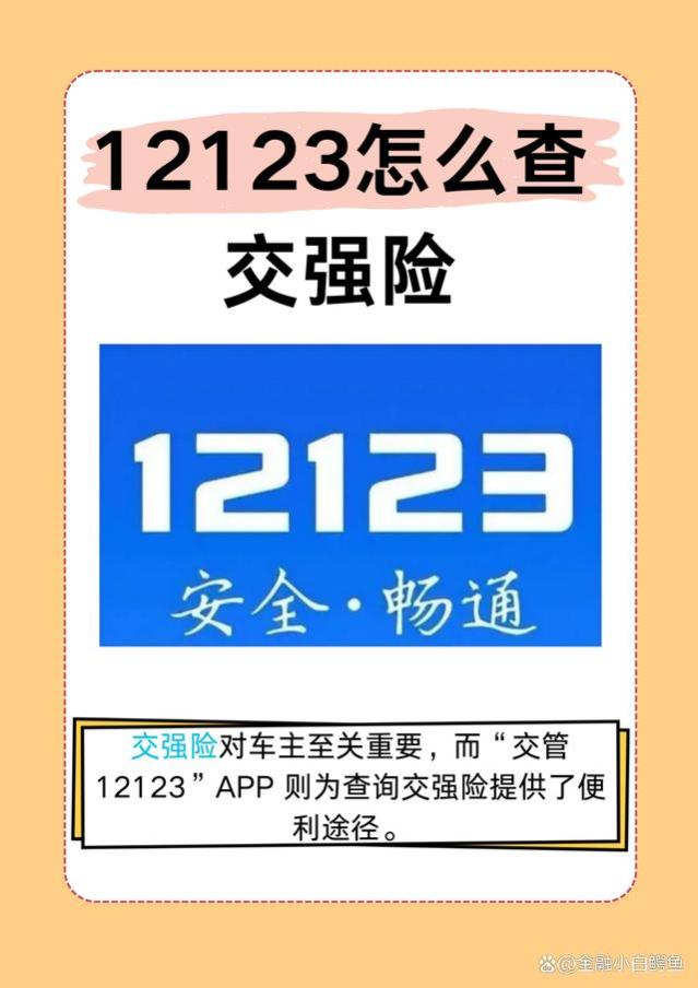 12123怎么查交强险