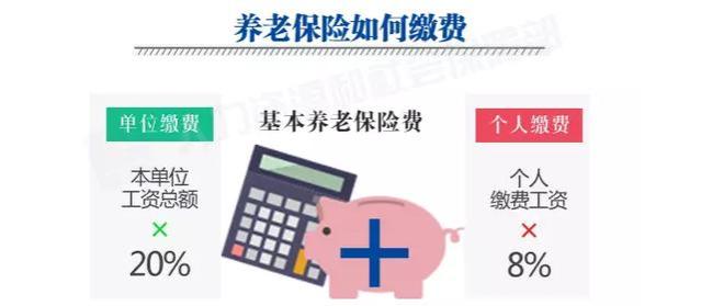 解密明年养老金改革：谁将成为最大赢家？