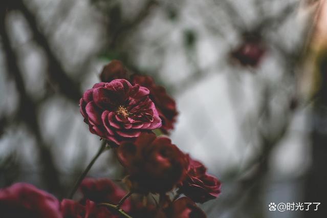 人在职场，要远离这三种饭局，否则后患无穷