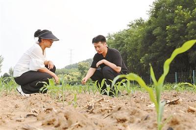 本市将开展就业见习岗位募集