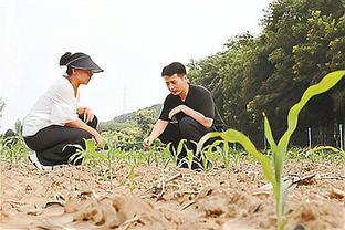 本市将开展就业见习岗位募集