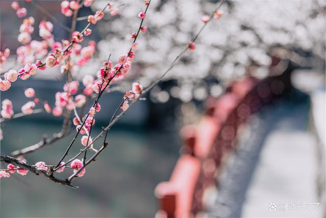 人在职场，要远离这三种饭局，否则后患无穷