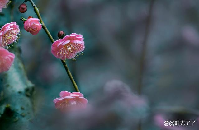 人在职场，要远离这三种饭局，否则后患无穷