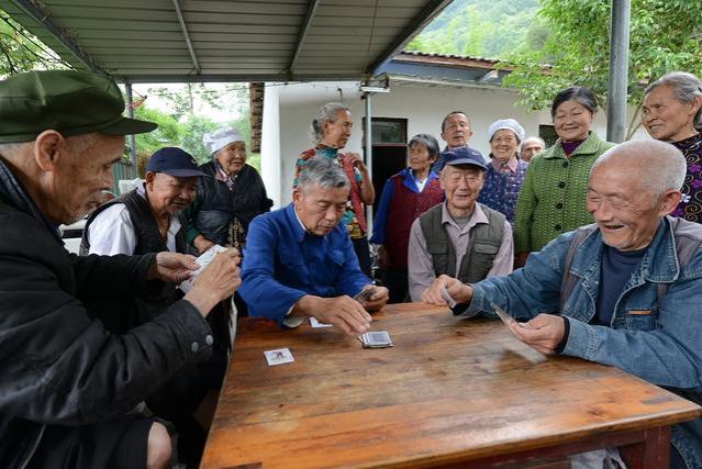 白岩松谈农民“百元养老金”难养老，22倍的城乡差距难补齐