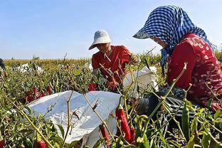 农民进城打工不如去新疆种地，包吃住每月一万元好挣，你认为低吗