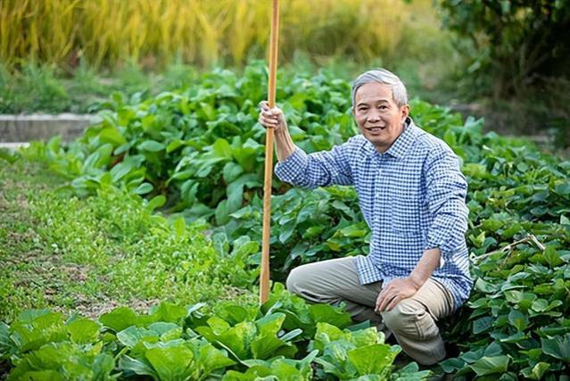 去趟医院看老朋友后，我决定换个活法，我对工资有了新安排