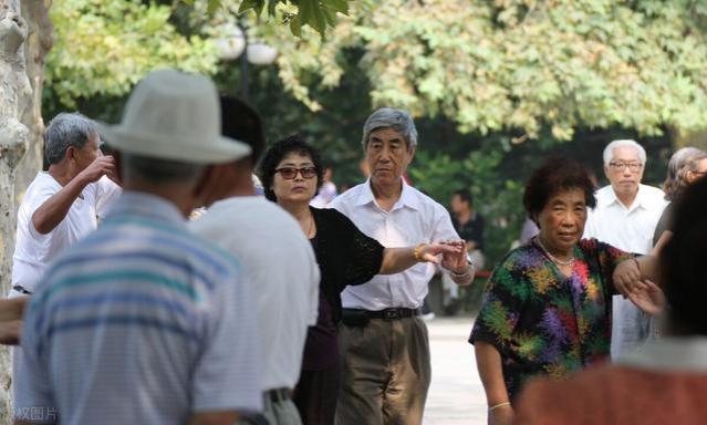 退休参加了三个老年团后，圈子的丑陋现象，让我决定一个人玩更好