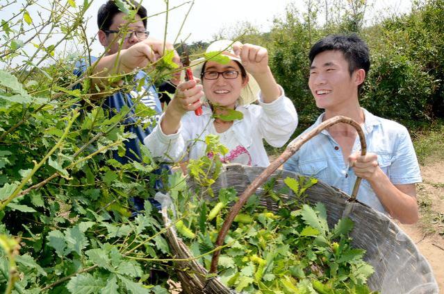 大学毕业生面试通过3次，却因学历高都被拒绝入职，这到底怎么了？