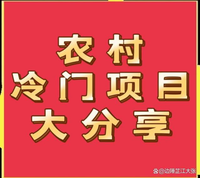 农村冷门项目大分享，想赚钱的看过来，年入十万不是梦！