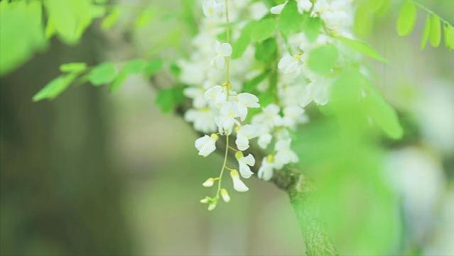 退休后在女儿家居住半月，看到亲家母的习惯，我把女婿臭骂一顿