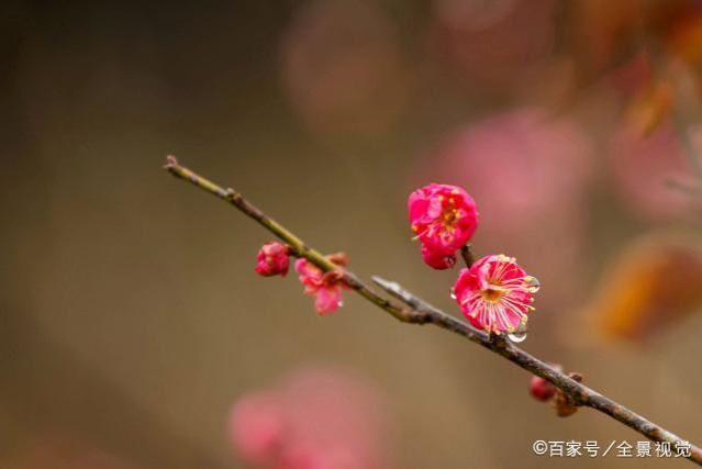 人到中年，才发现：越有钱的人，在这三处越“狠”