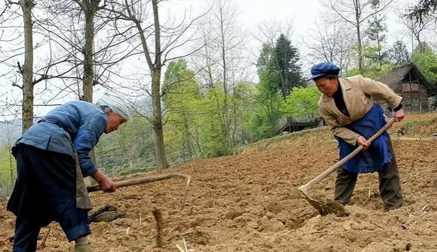 有业内人建议，农民和国家机关人员退休金一致，能实现吗？