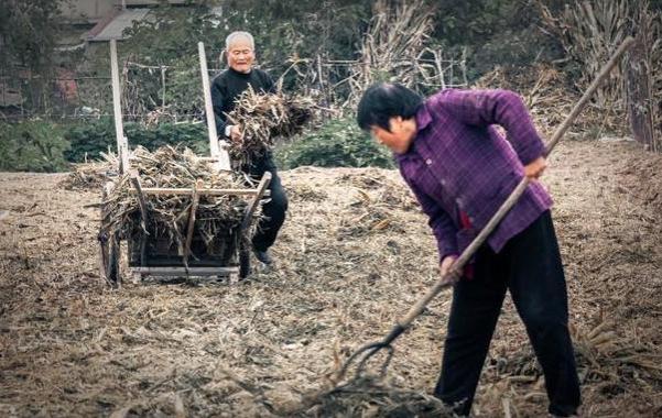 村书记年薪多少？为何村干部工资保密？你不知道的3个原因