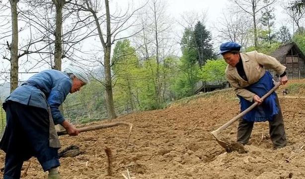 有专家建议，农民和公务员退休金一致，能实现吗？