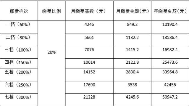 四川各地灵活就业养老保险缴费档次一览表