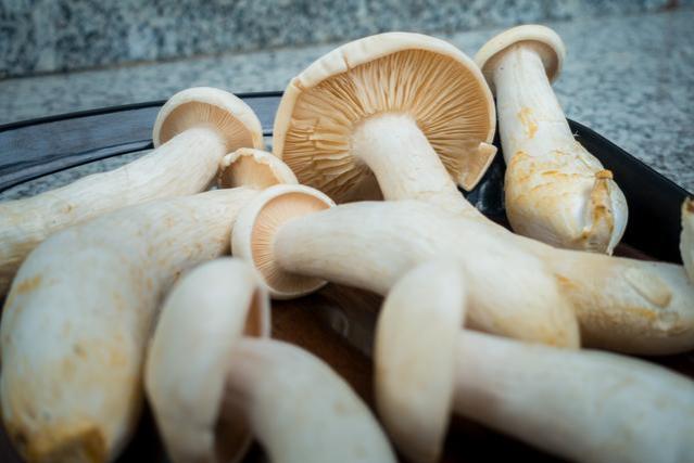 混迹职场的十大理论之九：蘑菇管理