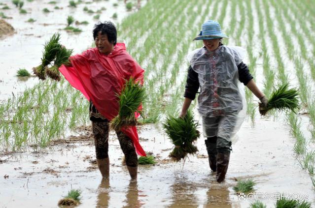 当初交公粮的农民，为什么拿不到退休金？看看专家是怎么解释的！