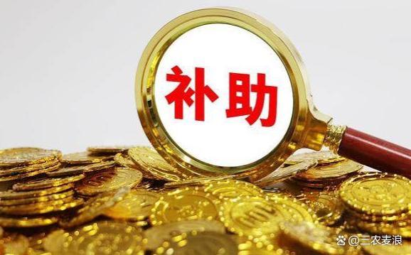 100个退休人员中，有几个养老金能达到5000元？答案“出乎意料”