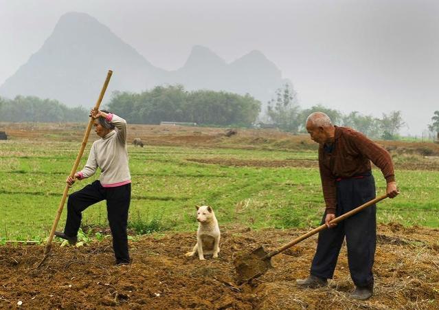 白岩松：百元养老金难维持，专家：城乡差距大，农民：咋不能涨？