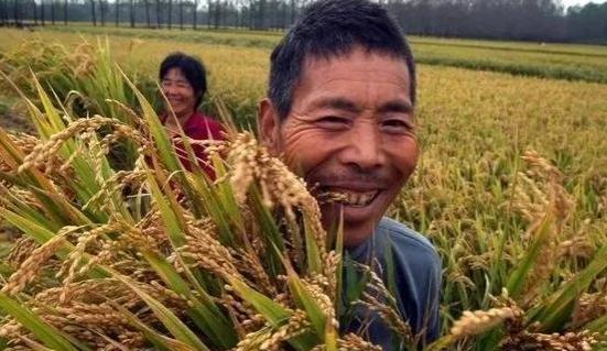 年轻人不愿种地，都去打工，地怎么办？这三类人机会来了