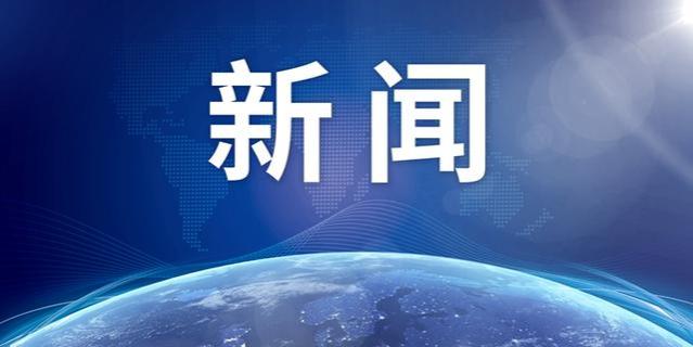 教育部派工作组赴各省严查“假就业”，治理关键何在？