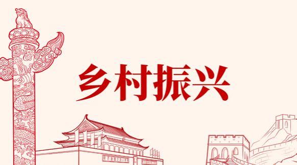 农村退休金新政来了！65岁以上农民这三类补贴直接打到卡里！