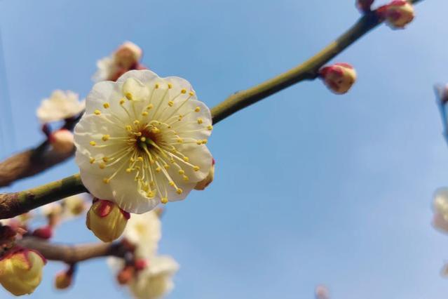 与领导发生冲突后，离职是最好的选择吗？