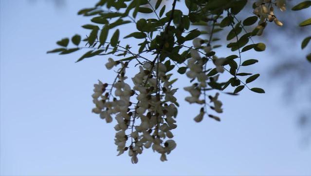 退休后在女儿家居住半月，看到亲家母的习惯，我把女婿臭骂一顿