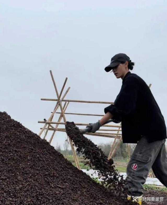 一个00后决定辞职，回老家种地