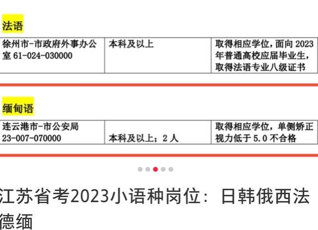 缅甸语专业遭遇疑惑？求职被质疑，追逐梗文不尽人意