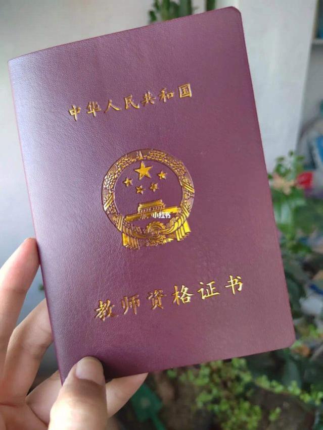 教师迎来“新改革”，学历和证书成入职标准，这1类老师非常痛苦