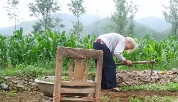 农村老人到了退休的年龄，为何还在“偷偷”的种地