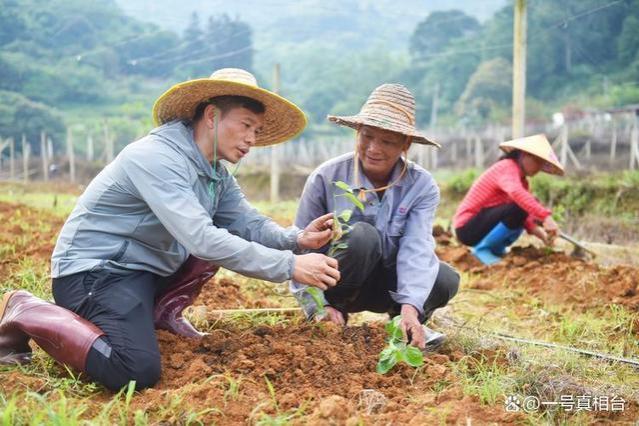 体制内工资折腰式下跌，从1万到7000还要降？编制内工作还香吗？