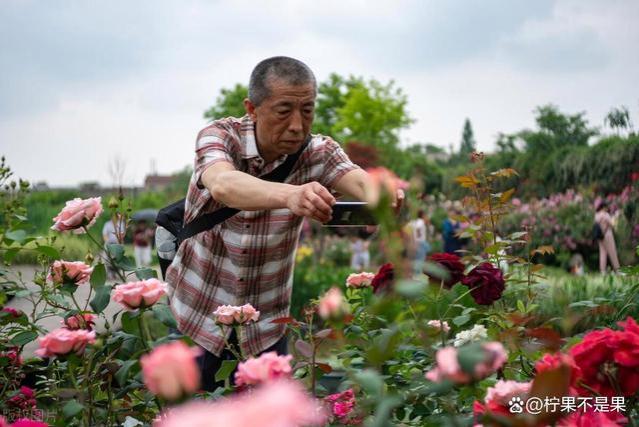 我每月8000退休金，闲赋在家3年，回一趟农村老家我老脸红了