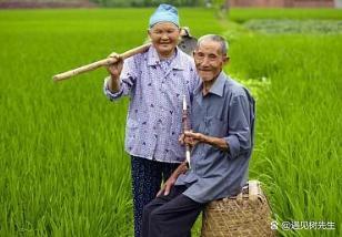 坚毅背影下的呼声：提高农民养老金待遇是社会责任