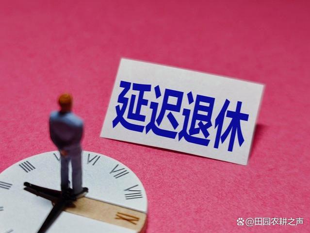 北大教授杨燕绥：退休金领取延迟15年，老百姓能接受吗？