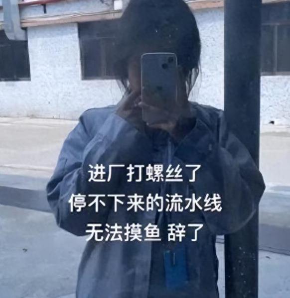 00后大学生晒求职经历，“干啥啥不行”，看后笑出鹅叫