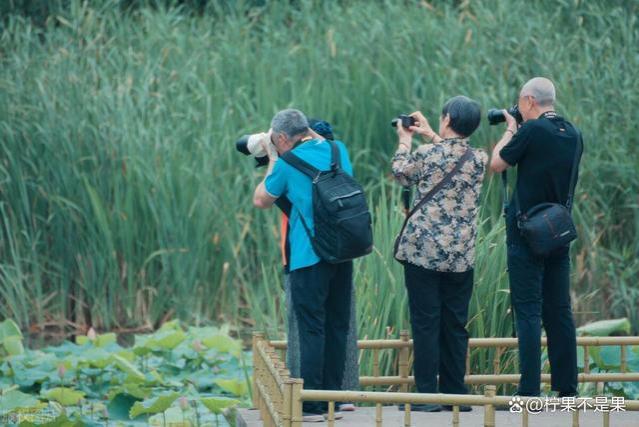 我70岁在女儿家养老，退休金全部贡献出来，是我这辈子最大的失误