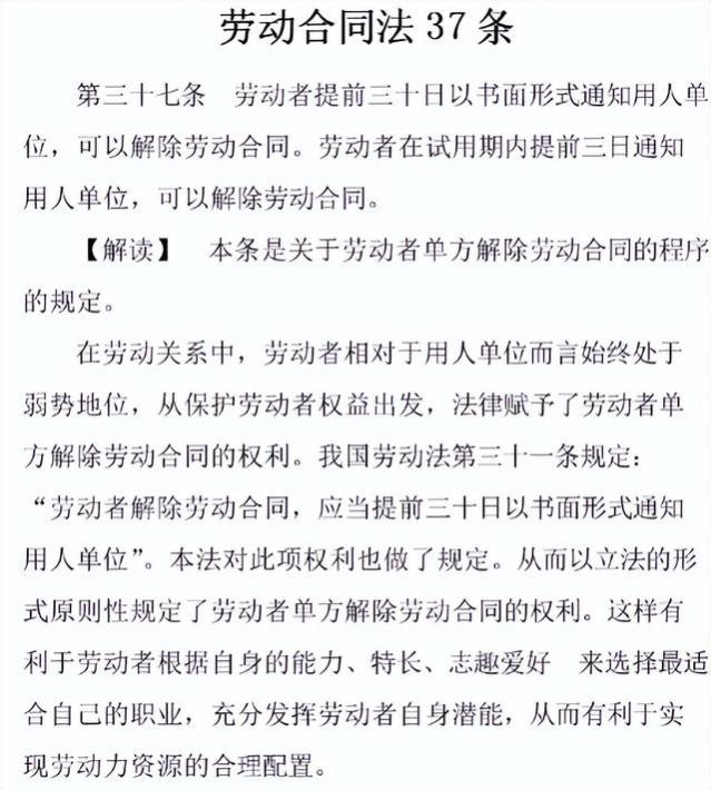 员工刚入职领中秋月饼，第二天就提离职，评论区都是老职场人了