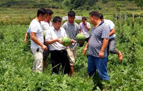 中纪委发声：明确规定农管在农村职责，这5件事不能管，快来看看