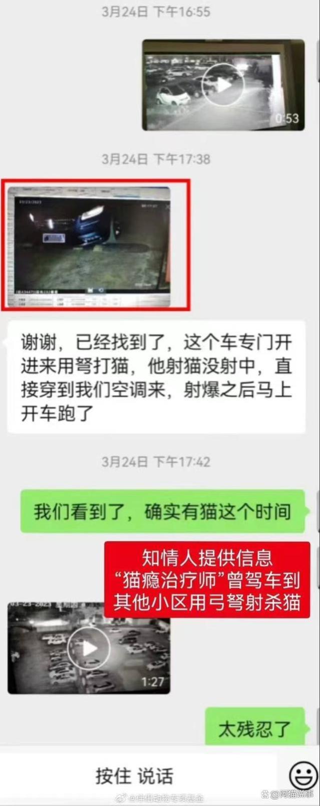 工行通报员工虐猫行为，属实！已解除劳动合同