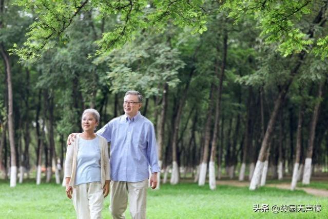 退休后，真正活得通透的人，会主动做好这6件事情