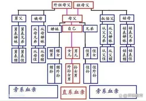 注意！父母犯过这些错，子女考公务员政审环节受影响？