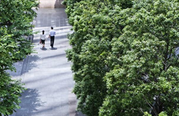 英国两所秘密宝藏学校，优点是毕业后年薪高，好留英，找工作不卷