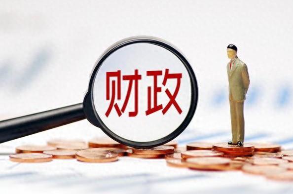 专家建议：鼓励退休人员主动放弃退休金，以缓解经济负担