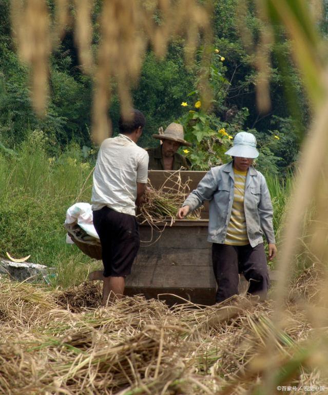 好消息！70岁以上的农民，每月可领养老金500元，真的假的？