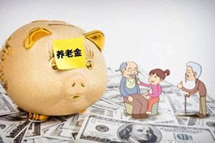 专家建议：将家庭普通储蓄转为养老金，为何遭遇质疑？