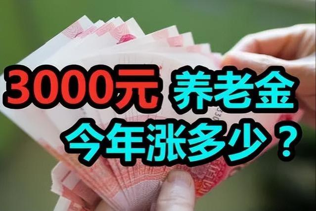 退休金月入过万：一个遥不可及的梦想？